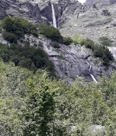 A Entre Bois Et Nature